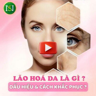 BỆNH LÝ LÃO HOÁ VÀ LÃO HOÁ SỚM